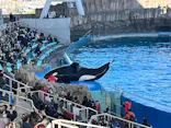 名古屋港水族館に投稿された画像（2023/2/5）
