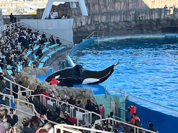 名古屋港水族館に投稿された画像（2023/2/5）