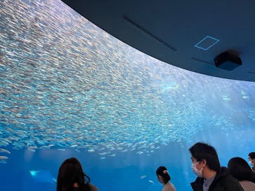 名古屋港水族館に投稿された画像（2023/2/5）