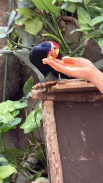 神戸どうぶつ王国に投稿された画像（2023/2/5）