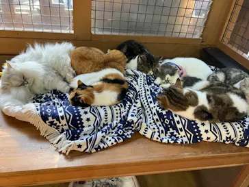 神戸どうぶつ王国に投稿された画像（2023/2/5）