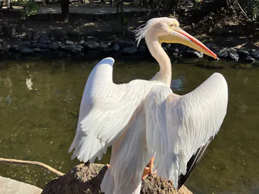 神戸どうぶつ王国に投稿された画像（2023/2/5）