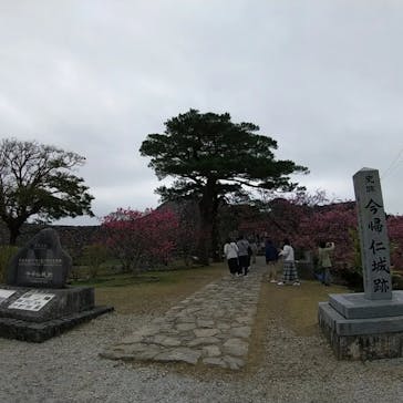 今帰仁城跡に投稿された画像（2023/2/5）