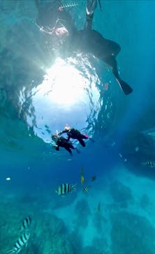 DIVING-SHOP SUNSに投稿された画像（2023/2/5）