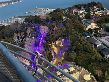 江の島シーキャンドルに投稿された画像（2023/2/5）