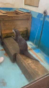 南知多ビーチランド＆南知多おもちゃ王国に投稿された画像（2023/2/5）