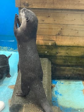 南知多ビーチランド＆南知多おもちゃ王国に投稿された画像（2023/2/5）