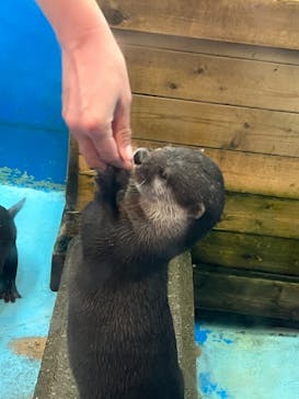 南知多ビーチランド＆南知多おもちゃ王国に投稿された画像（2023/2/5）