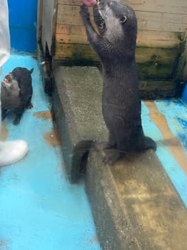 南知多ビーチランド＆南知多おもちゃ王国に投稿された画像（2023/2/5）