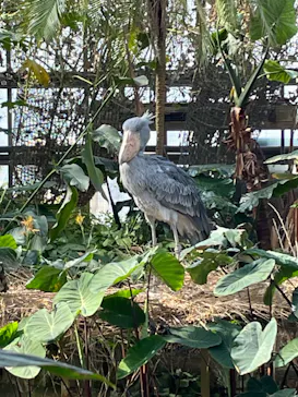 神戸どうぶつ王国に投稿された画像（2023/2/5）