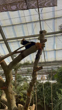 神戸どうぶつ王国に投稿された画像（2023/2/5）