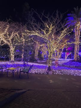 江の島シーキャンドルに投稿された画像（2023/2/5）