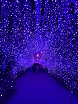 江の島シーキャンドルに投稿された画像（2023/2/5）