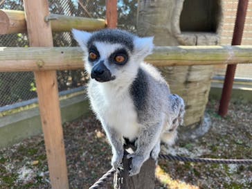 東武動物公園に投稿された画像（2023/2/5）
