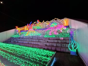 アクロス福岡イルミネーションに投稿された画像（2023/2/5）