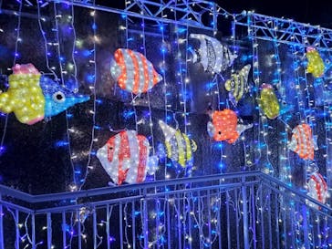 アクロス福岡イルミネーションに投稿された画像（2023/2/5）