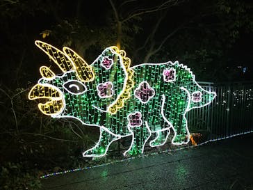 アクロス福岡イルミネーションに投稿された画像（2023/2/5）