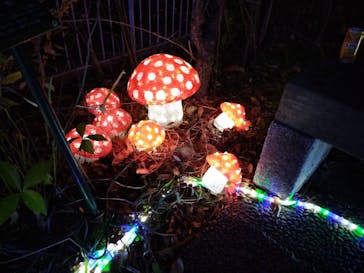 アクロス福岡イルミネーションに投稿された画像（2023/2/5）