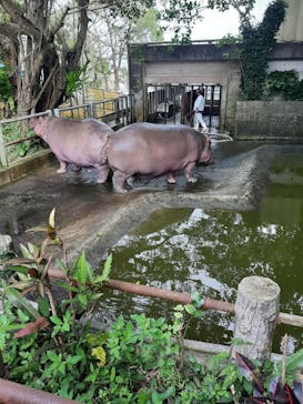 沖縄こどもの国に投稿された画像（2023/2/5）