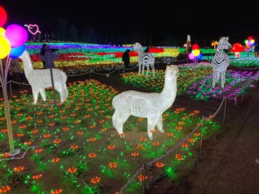 東武動物公園に投稿された画像（2023/2/5）