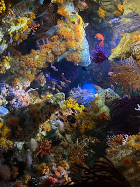 サンシャイン水族館に投稿された画像（2023/2/5）