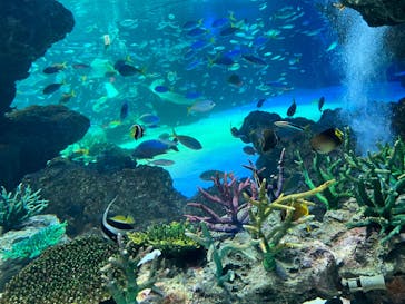 サンシャイン水族館に投稿された画像（2023/2/5）