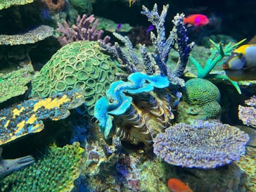 サンシャイン水族館に投稿された画像（2023/2/5）