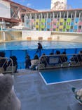 伊豆・三津シーパラダイスに投稿された画像（2023/2/6）