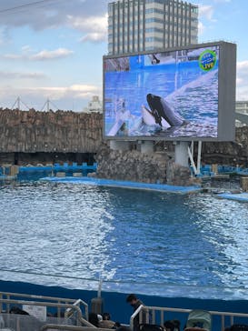 名古屋港水族館に投稿された画像（2023/2/5）