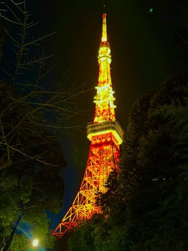 東京タワーに投稿された画像（2023/2/6）