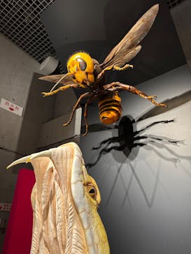 国立科学博物館に投稿された画像（2023/2/6）