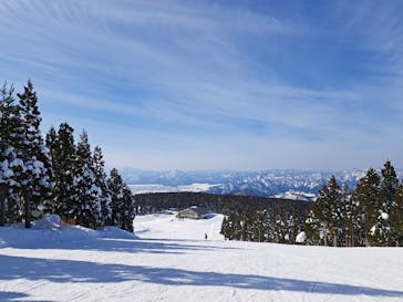 スキージャム勝山に投稿された画像（2023/2/6）