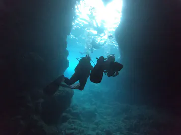 武藤潜水に投稿された画像（2023/2/6）