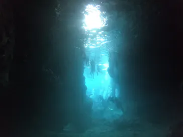 武藤潜水に投稿された画像（2023/2/6）