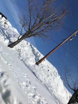 スキージャム勝山に投稿された画像（2023/2/6）