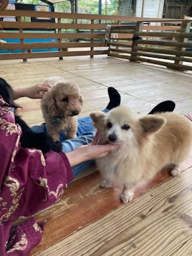 ネオパークオキナワに投稿された画像（2023/2/6）