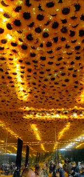 ゴッホ・アライブに投稿された画像（2023/2/6）