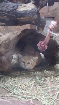 那須どうぶつ王国に投稿された画像（2023/2/6）