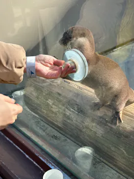 横浜・八景島シーパラダイスに投稿された画像（2023/2/6）