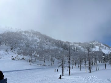 苗場スキー場に投稿された画像（2023/2/6）