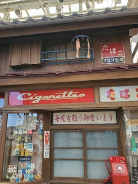 西武園ゆうえんちに投稿された画像（2023/2/6）