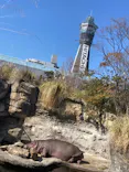 天王寺動物園に投稿された画像（2023/2/6）