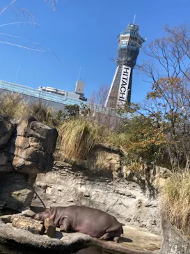 天王寺動物園に投稿された画像（2023/2/6）