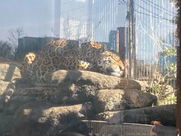 天王寺動物園に投稿された画像（2023/2/6）