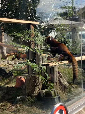 天王寺動物園に投稿された画像（2023/2/6）