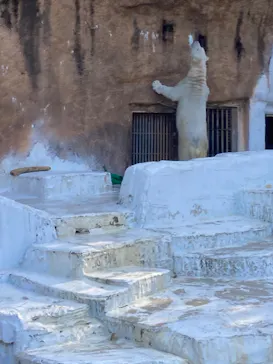 天王寺動物園に投稿された画像（2023/2/6）