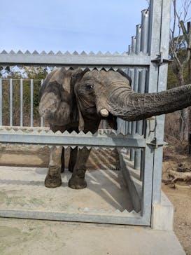 しろとり動物園に投稿された画像（2023/2/6）