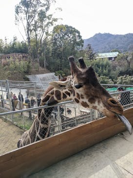 しろとり動物園に投稿された画像（2023/2/6）
