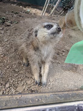 しろとり動物園に投稿された画像（2023/2/6）