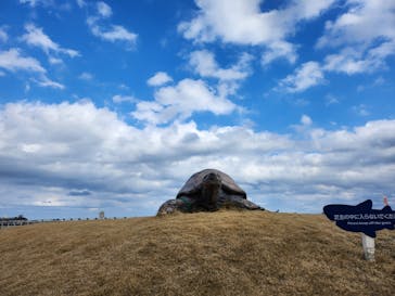 アクアワールド茨城県大洗水族館に投稿された画像（2023/2/6）